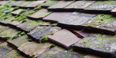 Cross roof repair costs